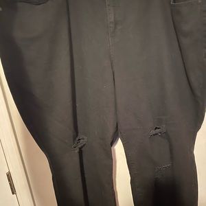 Torrid Jeans
